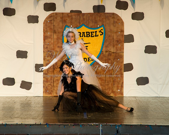 0037_Swan_Lake