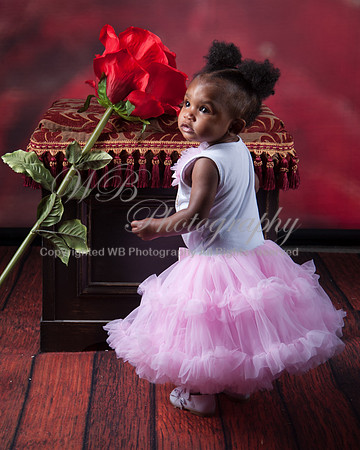 wob2392