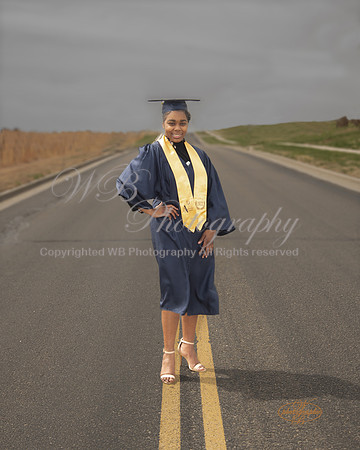 D85_0266DOF2