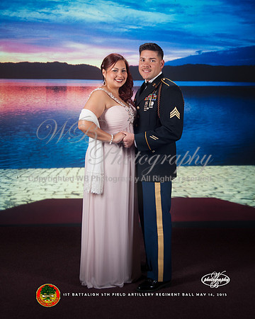 2015_15FA0656