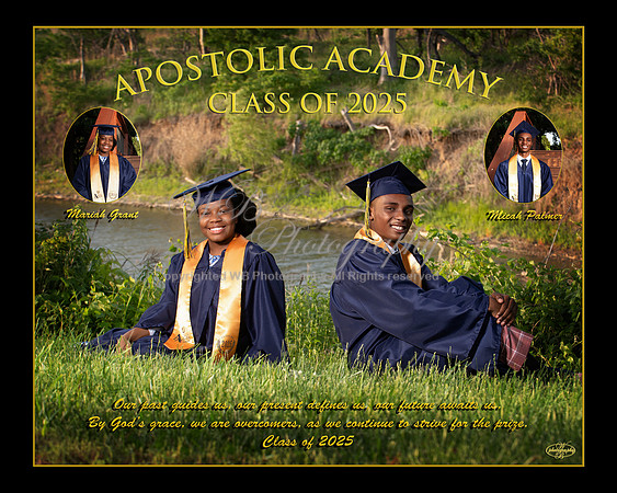 D85_1288_choice2 Final